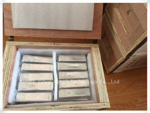99.995% Indium Ingot for Solder and Sealing